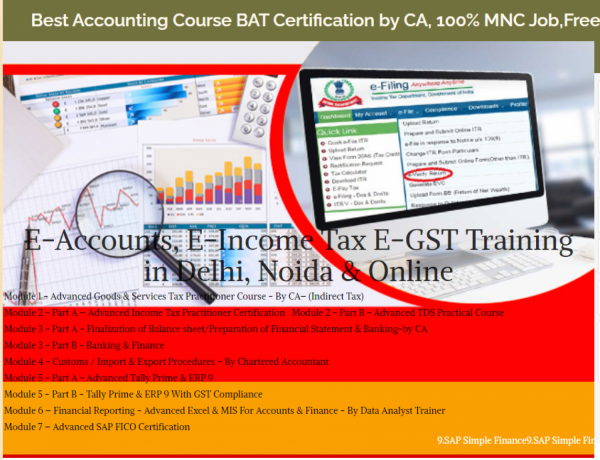 accounting-course-in-delhi-by-sla-accounting-institute-taxation-and-tally-prime-institute-in-delhi-noida-big-0