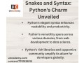 snakes-and-syntax-pythons-charm-unveiled-small-0