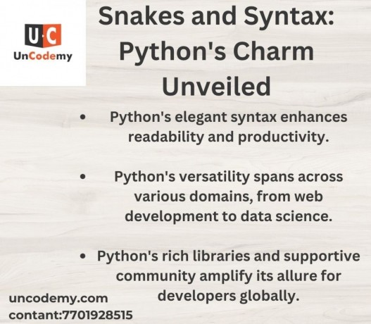 snakes-and-syntax-pythons-charm-unveiled-big-0