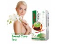 green-world-breast-care-tea-price-in-burewala-03008786895-small-0