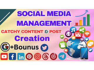 Social media management - social media marketer - On & Off Pages SEO