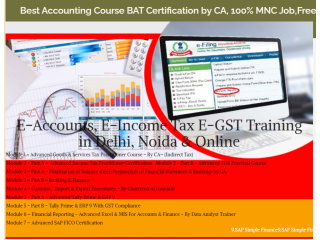 Offline Accounting Course in Delhi, with Free SAP Finance FICO  by SLA Consultants Institute in Delhi,