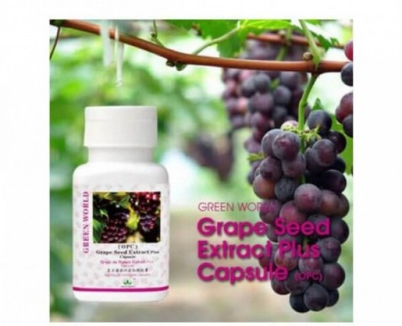 grape-seed-extract-plus-capsule-price-in-lahore-03008786895-big-0