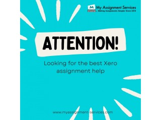 Looking for the best Xero assignment help?