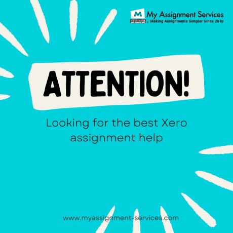 looking-for-the-best-xero-assignment-help-big-0