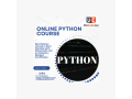 the-evolution-and-impact-of-python-in-modern-programming-small-0