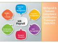 advanced-hr-institute-in-delhi-110019-with-free-sap-hcm-hr-certification-by-sla-consultants-institute-in-delhi-ncr-hr-analyst-certification-small-0