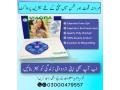 viagra-100mg-6-tablet-price-in-pakistan-03000479557-small-0