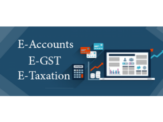 Accounting Course in Delhi, 110011, [GST Update 2024] by SLA. GST and Accounting Institute, Taxation and Tally Prime Institute in Delhi, Noida