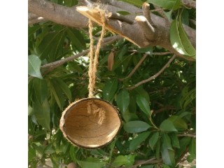 Coconut shells wholesale in Tuticorin