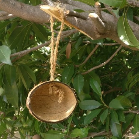 coconut-shells-wholesale-in-tuticorin-big-0