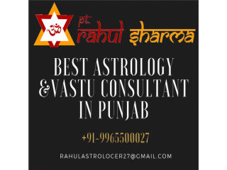 Love Marriage Specialist Astrologer Service in Panchkula