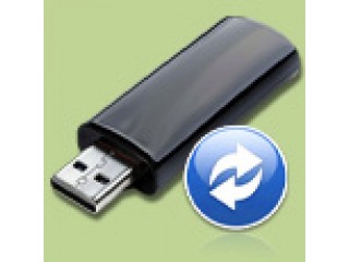 Data Recovery Software